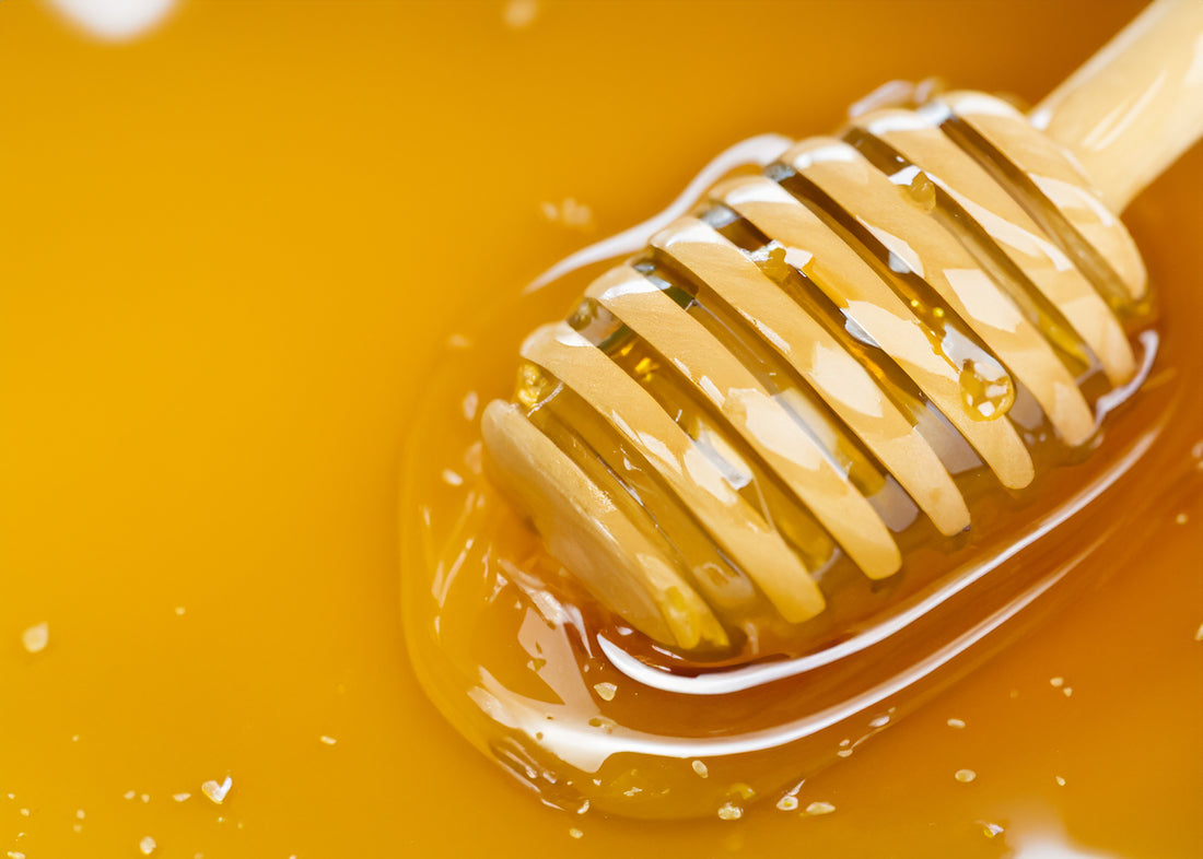 Experience the Revitalizing Power of The Forest Sage Heritage Honey