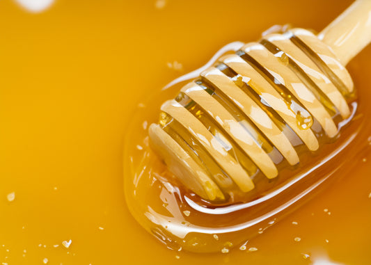 Experience the Revitalizing Power of The Forest Sage Heritage Honey