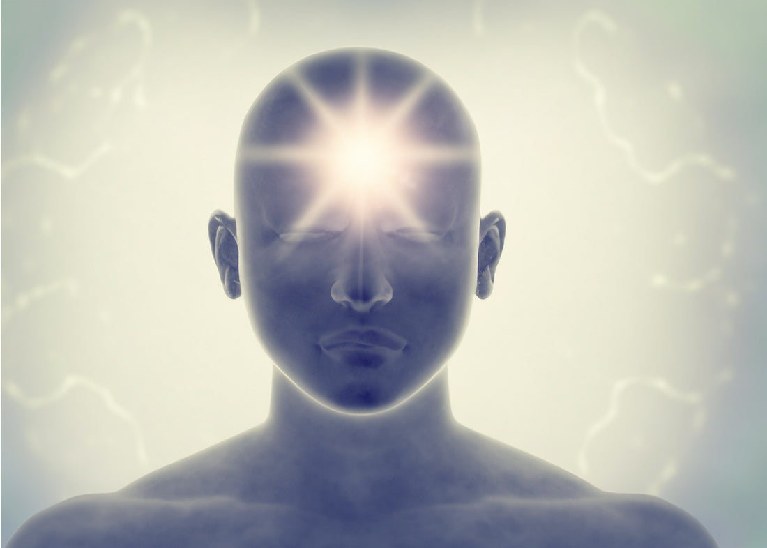 The Power of Mind Soothing Navel Oil in Your Wellness Journey