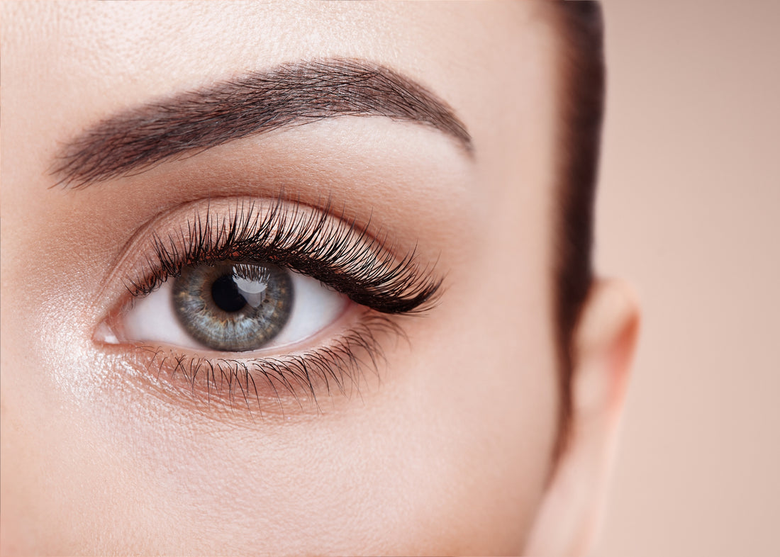 Unleash Your Inner Phoenix: Experience Dazzling Eyebrows & Lashes