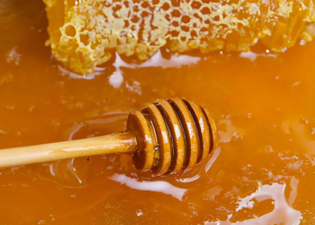 Discover the Exquisite Blend of Nature: The Forest Sage Heritage Honey